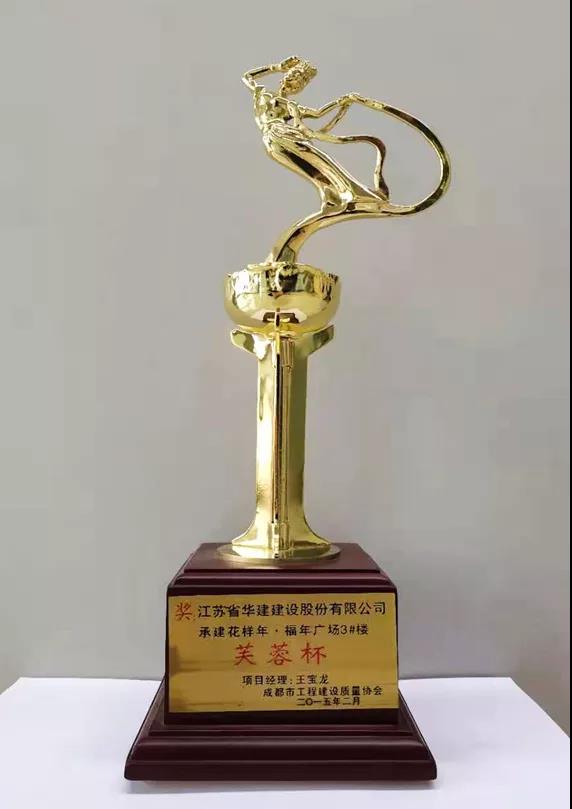 7、成都市芙蓉杯.jpg